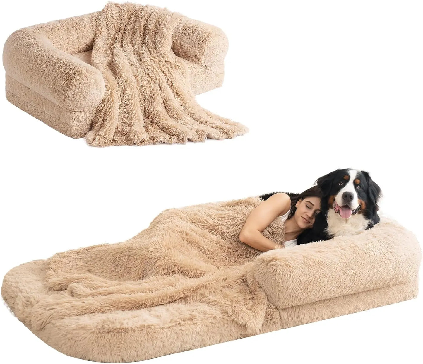Foldable Bed for Both Humans and Dogs